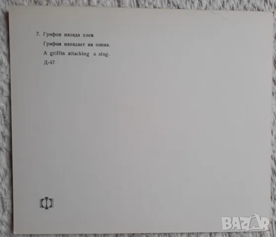 Летнишко тракийско съкровище - комплект 12 картички, снимка 5 - Колекции - 47627119