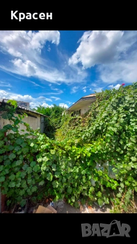 Почистване/извозване, снимка 4 - Други почистващи услуги - 32677515