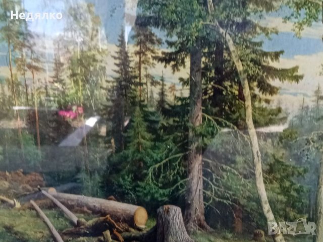 И.Шишкин,Рубка леса, картина, репродукция,1965г, снимка 6 - Антикварни и старинни предмети - 40356347