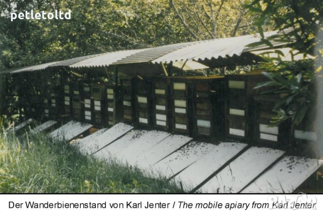 DVD Диск с авторски филм на Карл Йентер Karl Jenter, снимка 17 - Специализирана литература - 28638402