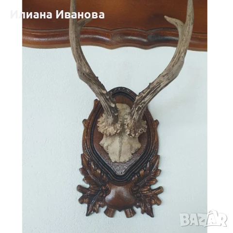 Поставка за Ловен трофей - Модел 2 - дърворезба, снимка 4 - Декорация за дома - 35490140