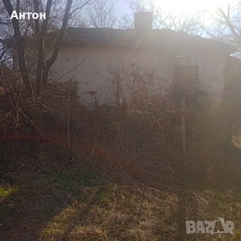 Продавам къща с двор е с.Тошевци община Видин, снимка 3 - Къщи - 48732939