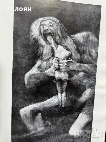 Стар албум на Гоя , снимка 7 - Специализирана литература - 48075673