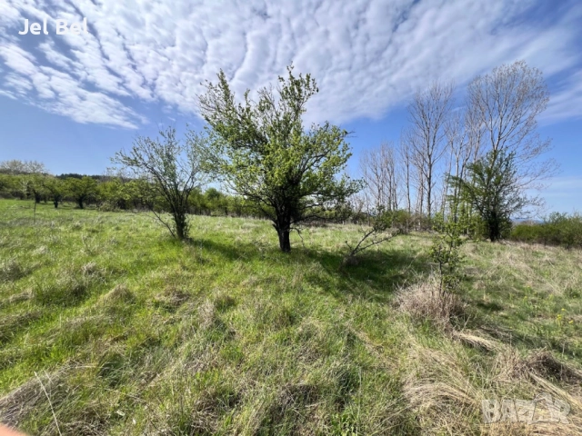 1.2 Дка Парцел / Дворно Място в Казанлък / Енина вилна зона "Старите Лозя" , снимка 5 - Парцели - 52512384