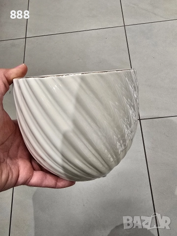 саксии кашпи 