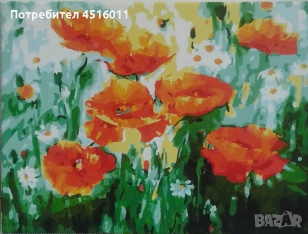 Картина рисуване по номера-Макове, снимка 1