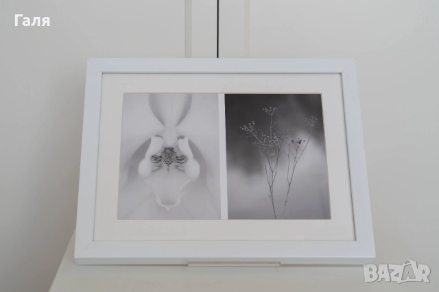 Фотография диптих, рамкирана, черно-бяла, снимка 2 - Картини - 52823565