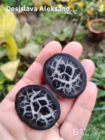 Двойка септарии от Мароко , снимка 2 - Колекции - 52739973