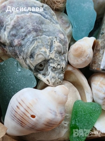 морско стъкло и микс от мидени черупки , снимка 5 - Други - 53525203