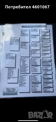 Спортни гълъби , снимка 2 - Гълъби - 52946553