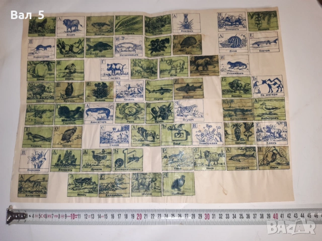 Рекламен албум , стикери шоколад БАЛЪКЧИЕВЪ Царство България, снимка 2 - Колекции - 53308240