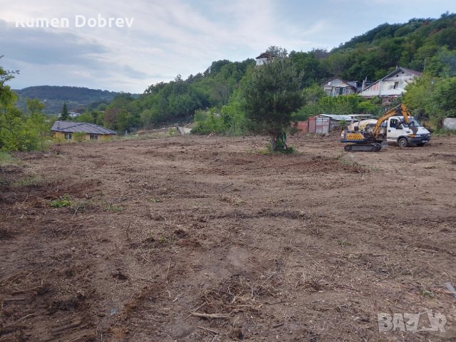 Почистване на парцели, дворове, снимка 4 - Други услуги - 43083253