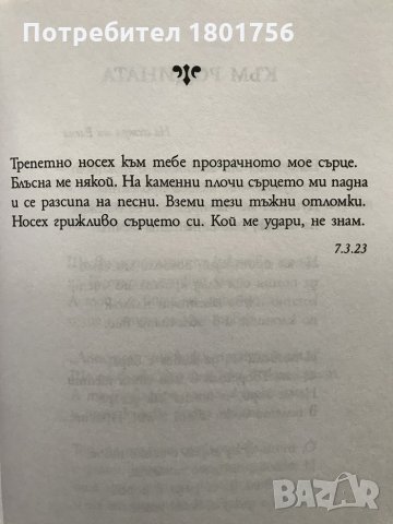 Странник божий - Владимир Набоков, снимка 3 - Художествена литература - 28952017