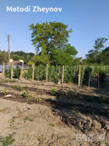 Двуетажна вила в село Йорданово, снимка 4 - Вили - 51737462