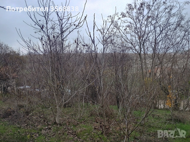 Вила ,със застроена площ 50 кв  м (има и гараж), , снимка 9 - Вили - 52789100