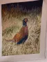 Продавам Оригинален гоблен на Вилер - Fasan , снимка 2