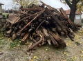 Дърва за огрев, снимка 1