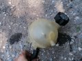 Казанче антифриз Пежо 307, снимка 2