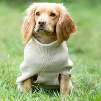 HUGO & HUDSON Зимен пуловер за кучета с висока яка, бежов, XL, снимка 2 - За кучета - 44071029
