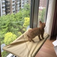 Хамак за котки поставя се на прозореца , снимка 3 - За котки - 40700532