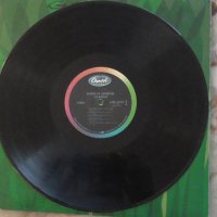 Грамофонна плоча-Les Baxter-двоен албум, снимка 5 - Грамофонни плочи - 38463679