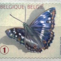 Чиста марка Фауна Пеперуда 2014 от Белгия, снимка 1 - Филателия - 32405404