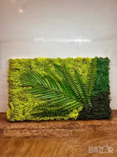  “Тропически оазис” със скандинавски мъх, снимка 1