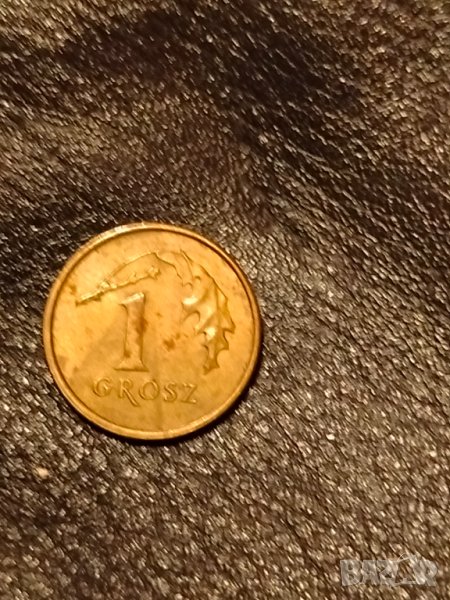 Монета Полша 1 грош /1 Grosz/ 2007 г., снимка 1