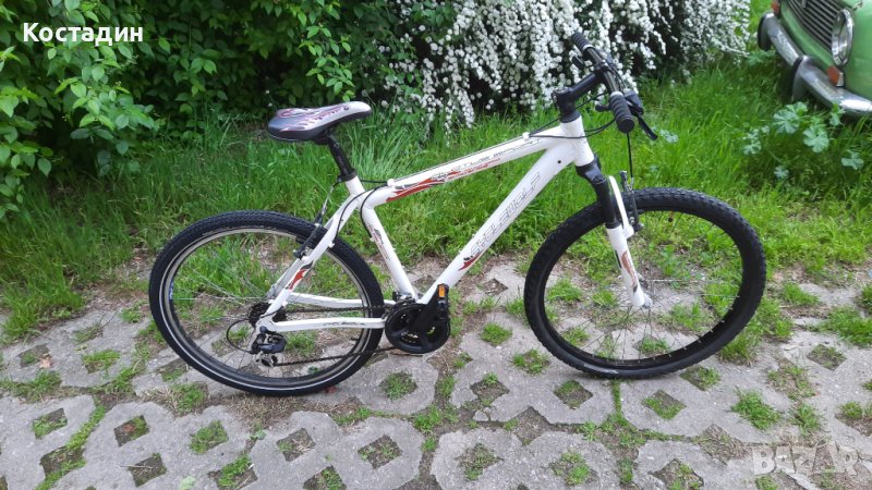 Планински велосипед  CycleWolf Lotus Sport  26 цола , снимка 1