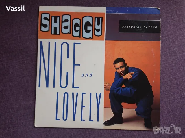 maxi Dream Warriors Cameo Bobby McFerrin Dream Warriors Jacksons Newcleus Shaggy, снимка 8 - Грамофонни плочи - 23642383