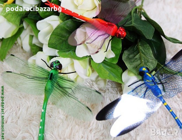 ВОДНО КОНЧЕ ЗА ДЕКОРАЦИЯ 