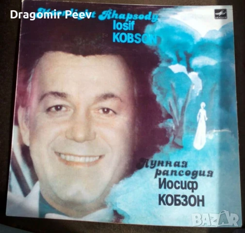 Продавам 18 грамофонни плочи, снимка 11 - Грамофонни плочи - 51243783