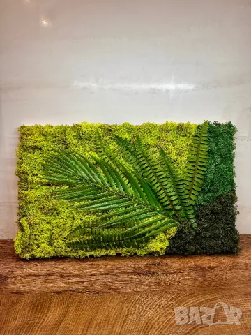  “Тропически оазис” със скандинавски мъх