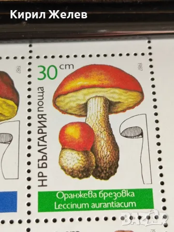 Пощенски марки чиста комплектна серия ГЪБИ поща НРБЪЛГАРИЯ за КОЛЕКЦИОНЕРИ 46344, снимка 4 - Филателия - 47769888