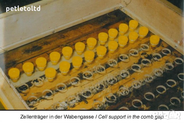 Защитна клетка арт.№ 040 Schutzzellen mit Futterstopfen (10 бр), снимка 10 - За пчели - 33045170