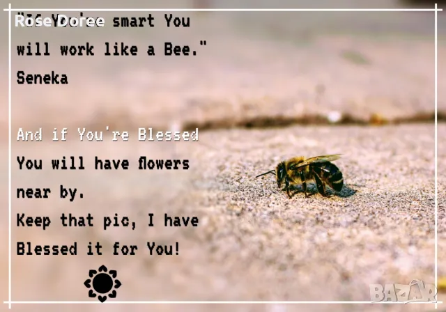 🌟✨ Всичко, което Ангелите искат да ти кажат сега 🔮👼 — гледане на карти, ангелски съобщения ангели, снимка 8 - Таро карти - 50111783