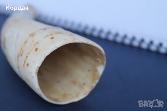 Ловна свирка от рог , снимка 5 - Антикварни и старинни предмети - 37512898