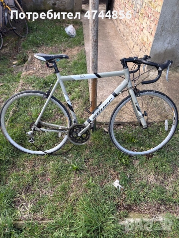 Пътен бегач 