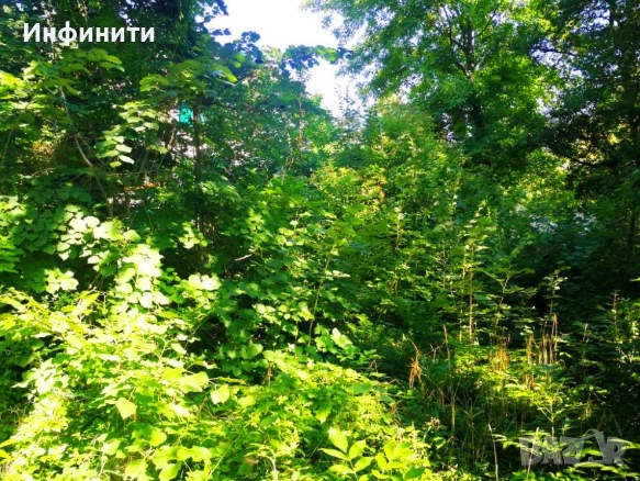 ПРОДАВАМ УРЕГУЛИРАН ПОЗЕМЛЕН ИМОТ В НАЙ-КРАСИВАТА, ТИХА И ЦЕНТРАЛНА ЧАСТ НА ПАНЧАРЕВО ДО ЕЗЕРОТО, снимка 6 - Парцели - 52428543