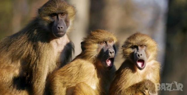 фирма направи си Сам - ремонт на соларни системи, снимка 7 - Друга електроника - 53050067