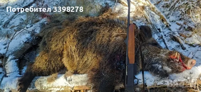 9.3-62 HAENEL SLB 2000+ 5+1 полуавтомат , снимка 2 - Ловно оръжие - 49258939