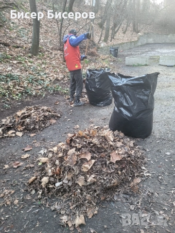 Озеленяване и Поддръжка , снимка 2 - Други услуги - 52817158