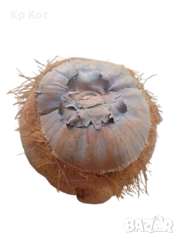 Украшение голяма глава ръчна изработка, снимка 4 - Декорация за дома - 50986423