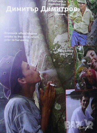 The Jaguar that Roams the Mind Robert Tindall, снимка 2 - Художествена литература - 27047997