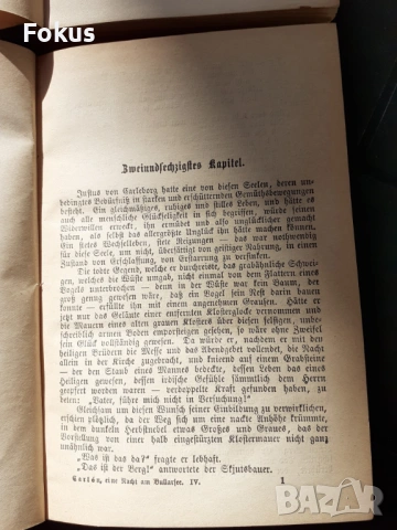 КНИГА - EMILIE FLUGARE-CARLEN - EINE NACHT AM BULLARSEE, снимка 4 - Антикварни и старинни предмети - 53486828