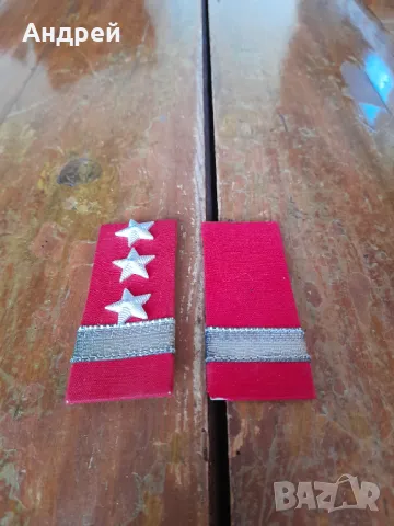 Стари пагони, снимка 1