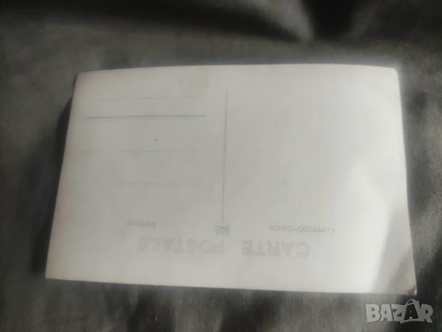 Продавам снимки Момичета с. Чепино 1 август 1946 ,клетва , моряци, снимка 8 - Други ценни предмети - 40238260