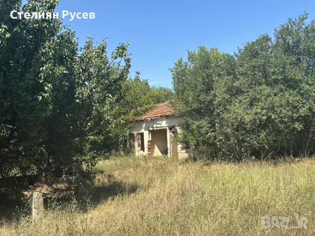  бившата ветеринарна лечебница / имот / в град Алфатар , до град Силистра . -цена 10000 лв или 5112,, снимка 18 - Други - 49801416