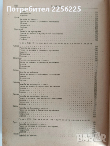 Овощарство 1954г , снимка 3 - Специализирана литература - 53075504