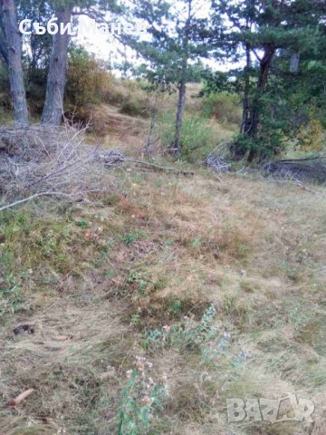 Продавам парцел на Пампорово , снимка 4 - Земеделска земя - 35303321